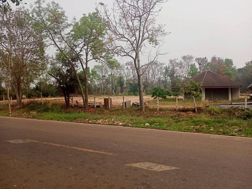 ขายที่ดิน 40 ไร่ 0 งาน 67.5 ตร.ว. ติดถนนหมายเลข 1186 ใกล้กรมทหารพรานที่ 31 พะเยา 5