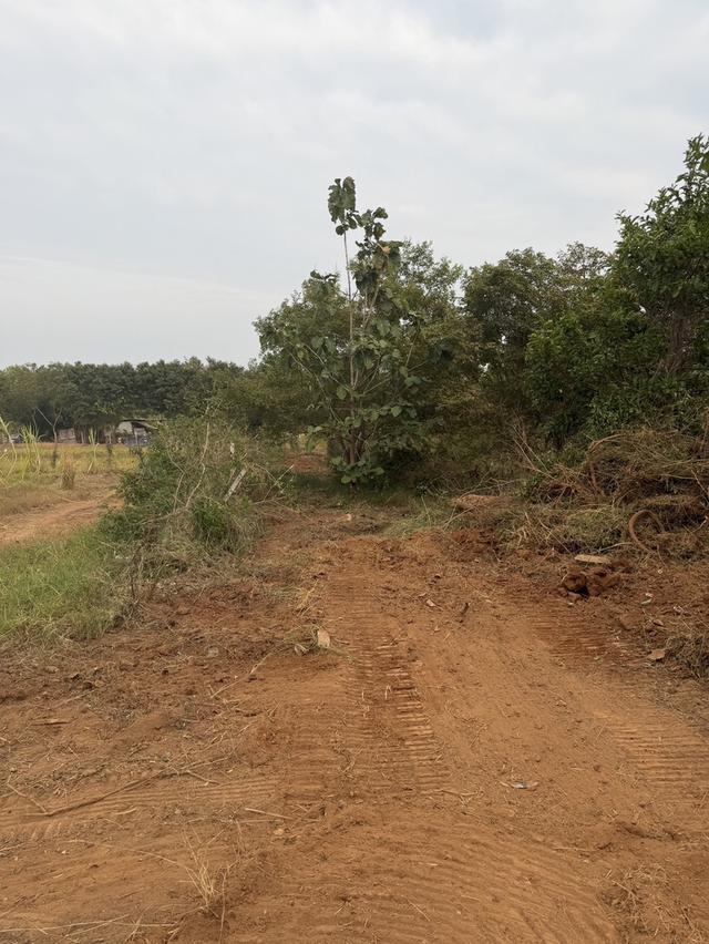 ที่ดินประจวบคีรีขันธ์ (วิวภูเขา) 6