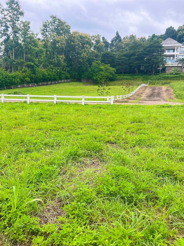 📣🏡 ที่ดินวิวดอย #บ้านปง อ.หางดง เชียงใหม่ 2