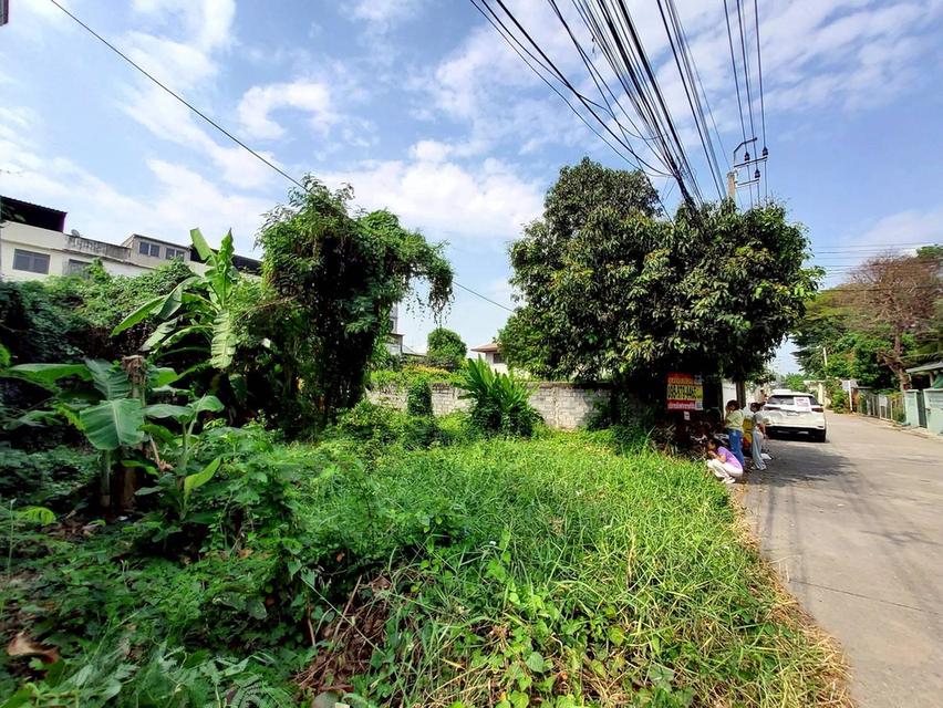 ขายถูกที่ดิน 111 ตรว ติดถนนคอนกรีตสาธารณะ  ถมแล้ว ซ.ติวานนท์-ปากเกร็ด 27 อ.ปากเกร็ด จ.นนทบุรี 4