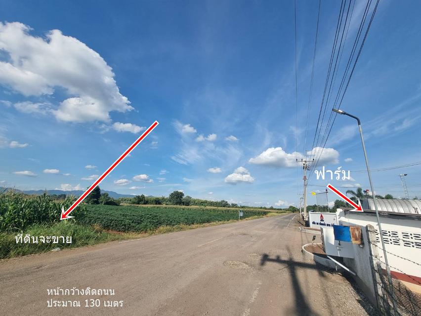 ขายที่ดิน 20ไร่เศษ ต.ลาดแค ชนแดน ขายเหมายกแปลง1.9 ล้าน 2