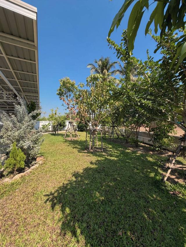 บ้านสวน​ 2หลัง​ พื้นที่​ 1ไร่​ กว่า​ ไม่ไกลจากกรุงเทพฯ​ 18