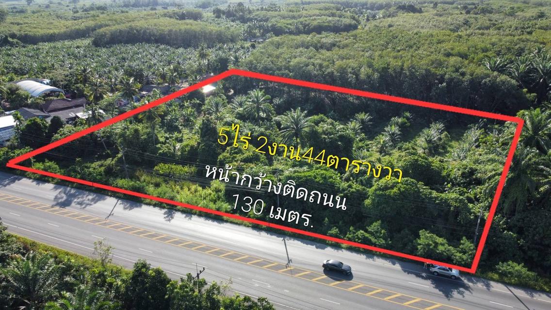 ขายที่ดินทางไปท่าเรือเกาะสมุยติดถนนใหญ่อำเภอดอนสัก