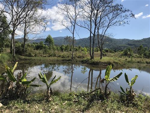 ที่ดิน ราคาถูก วิวเขา โฉนด ครุฆเเดง ไกล้ กทม เดินทางสะดวก 4