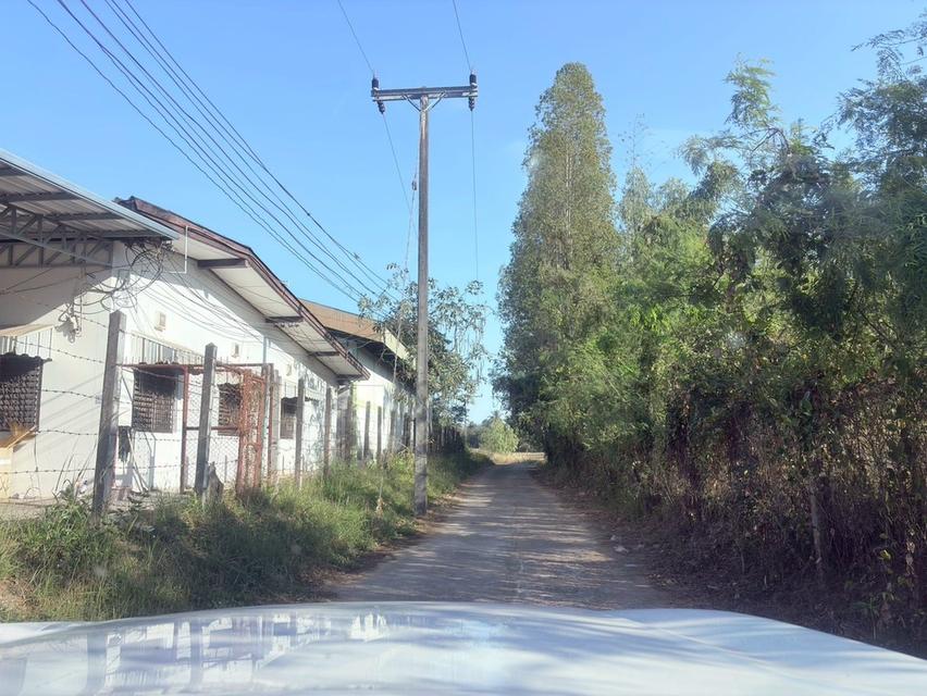 ที่ดินเปล่ามีเอกสารสิทธิ์โฉนดครุฑแดง 6 ไร่ 1 งาน 10 ตารางวา ยโสธร  ขนาดที่ดิน : 6 ไร่ 1 งาน 10 ตารางวา  ที่ตั้ง : ต.น้ำคำใหญ่ อ.เมืองยโสธร จ.ยโสธร พิก 2