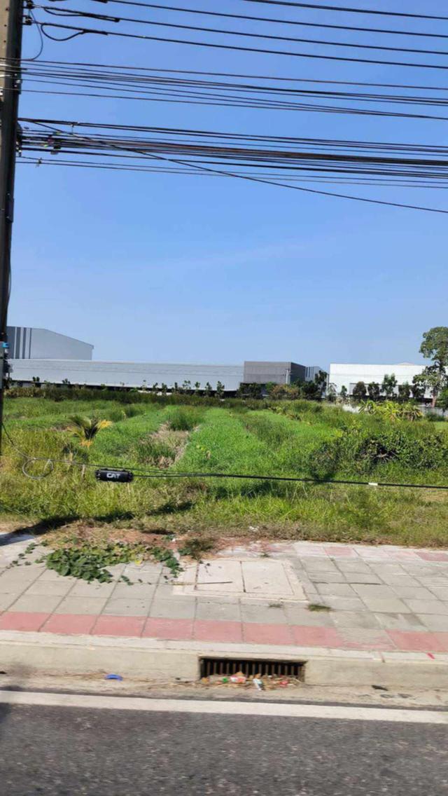 ขายที่ดินแปลงสวย ติดถนนใหญ่ บางนา-ตราด กม.31 (ขาออก) 3