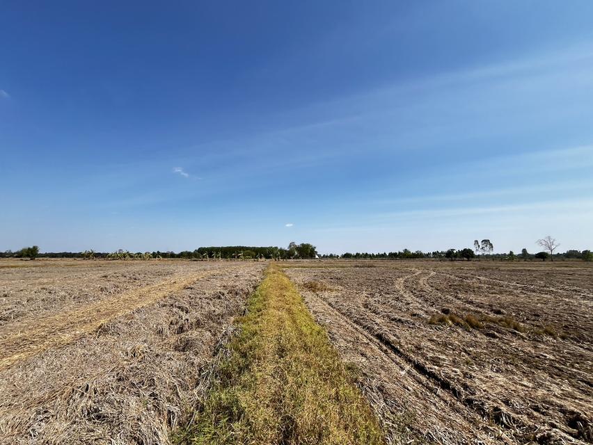 ขายที่นา ไม่ไกลจากตัวเมืองขอนแก่น 6