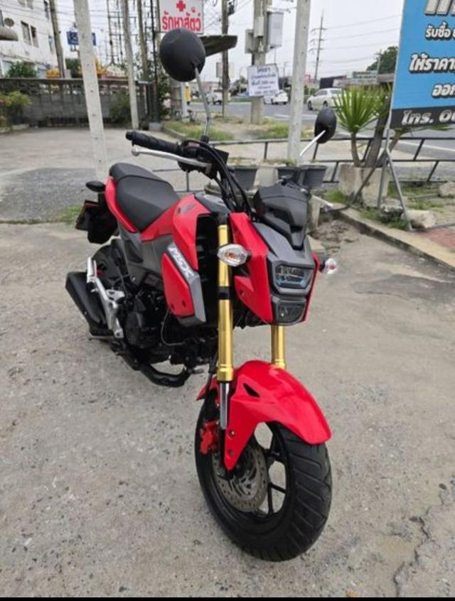 Msx 125 sf  3