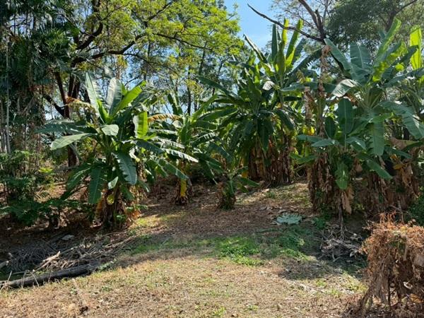 ขายที่ดินพหลโยธิน 35 แยก 19 ซอยสังข์ทอง 9 (พื้นที่สีส้ม) เนื้อที่ 6‑0‑69 ไร่ ใกล้เมเจอร์รัชโยธิน โทร 090-6360022 6