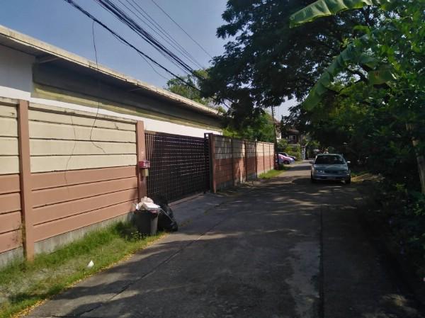 ให้เช่าโกดังโรงงานพร้อมออฟฟิศย่านลาดพร้าว93 บนที่ดินขนาดใหญ่ 168 ตรว.วังทองหลาง กรุงเทพฯ 3