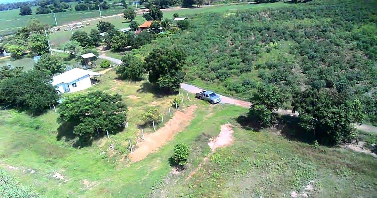ขายที่ดินเปล่า ทำเลดี ติดถนนปูน ไฟฟ้าถึง จังหวัดสุพรรณบุรี 5