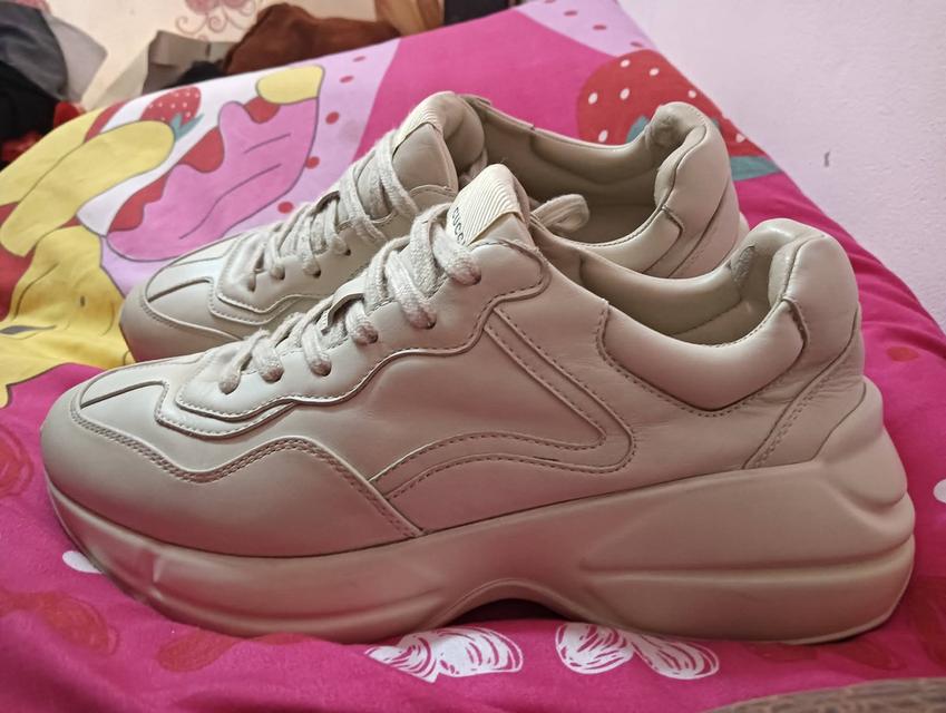 รองเท้า แบรนด์ Cucci