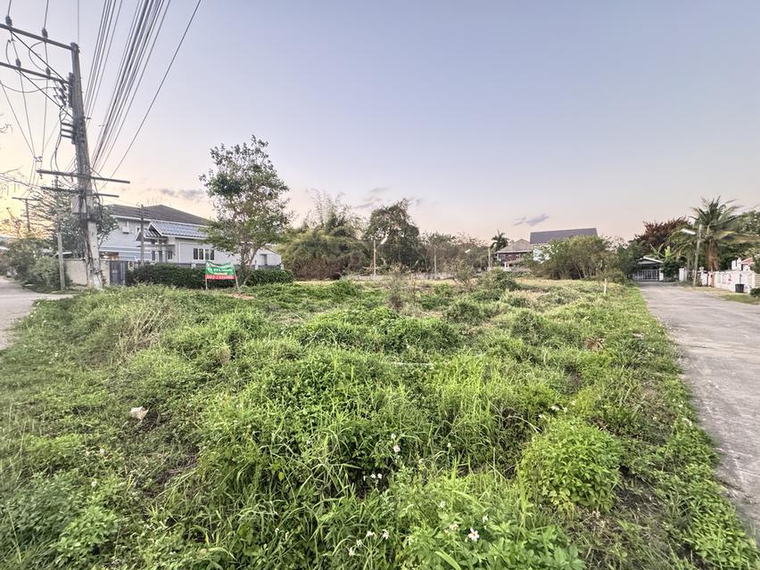 ขายที่ดินจังหวัดเชียงใหม่ 2