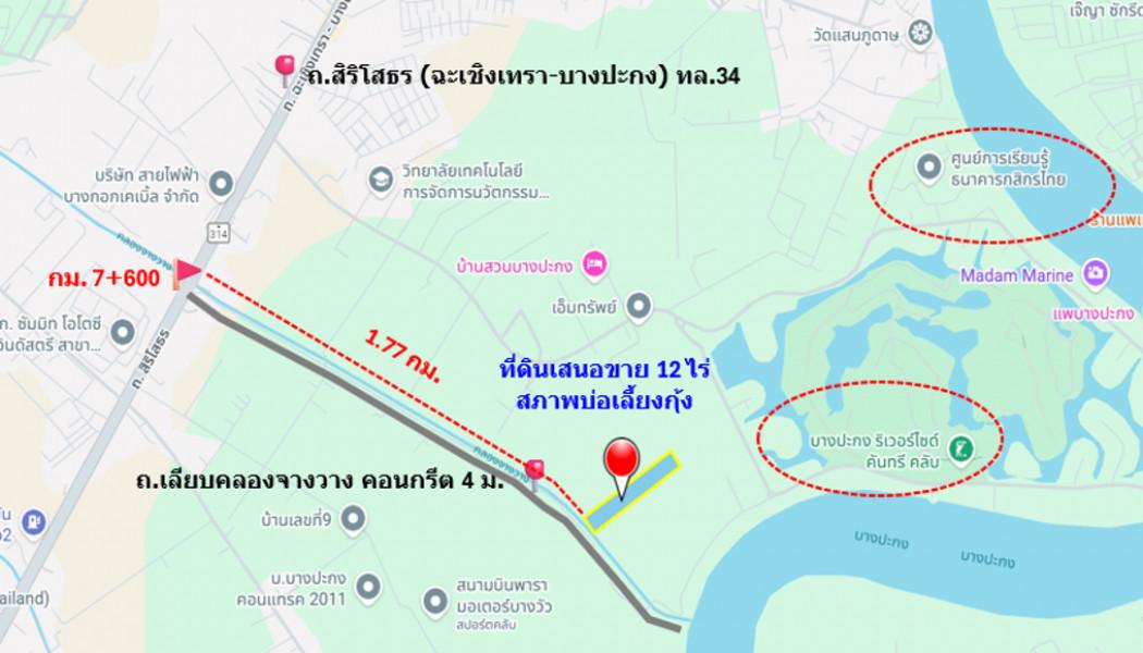 ขาย ที่ดิน ติดถนนเลียบคลองจางวาง ใกล้แม่น้ำบางปะกง อ.บ้านโพธิ์ แปลงสวย 12 ไร่ ติดโครงการบางปะกงริเวอร์ไซด์ พร้อมโอน ฟร 6