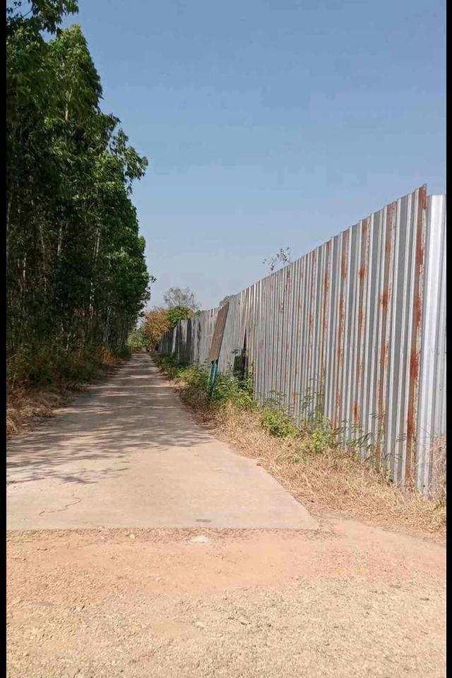 ขายที่ดินแปลงสวย ทำเลทอง อำเภอพนัสนิคม จังหวัดชลบุรี 8