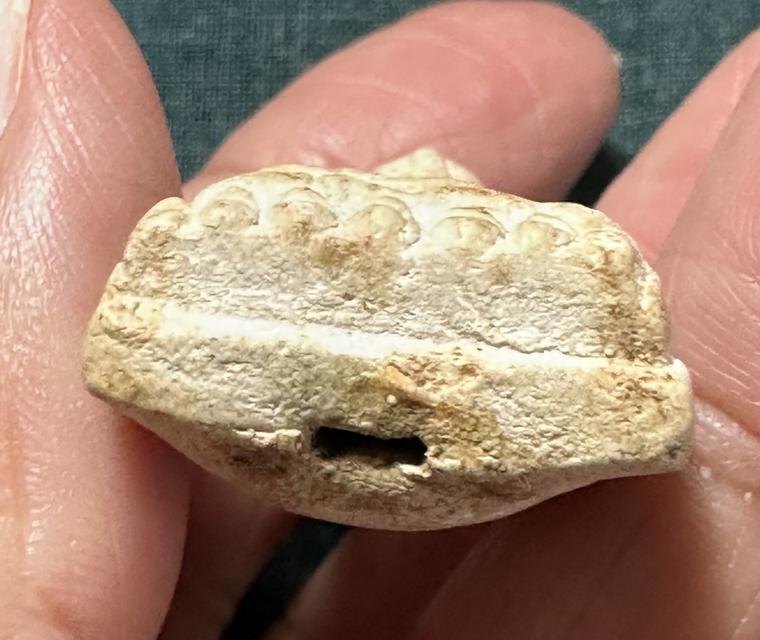 หลวงปู่ทวด เนื้อขาว องค์ละ 1550 รูปที่ 8