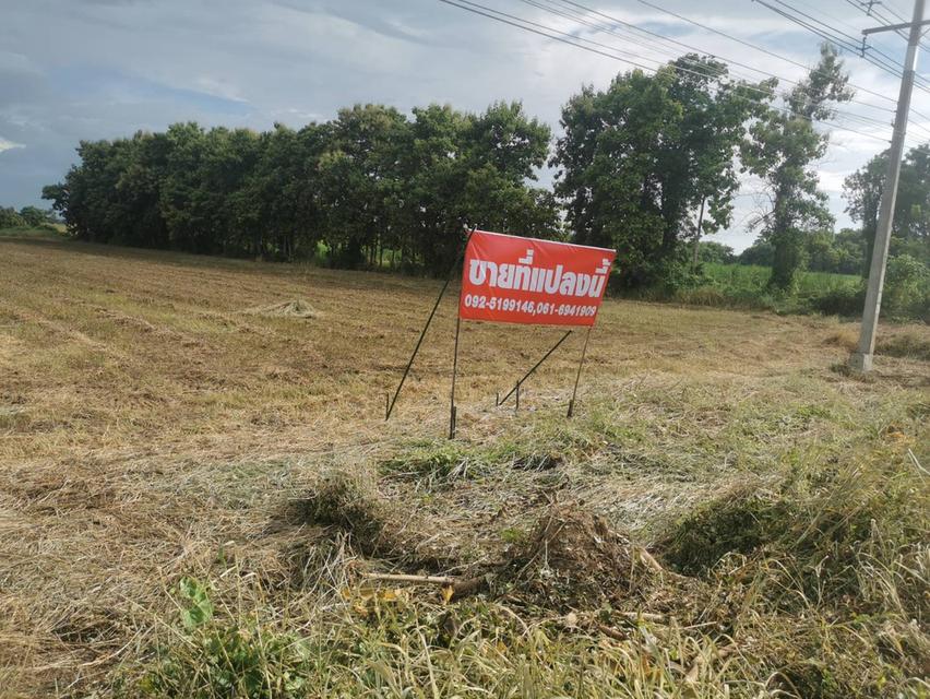 ที่ดิน อำเภอสวรรคโลก จังหวัดสุโขทัย 2