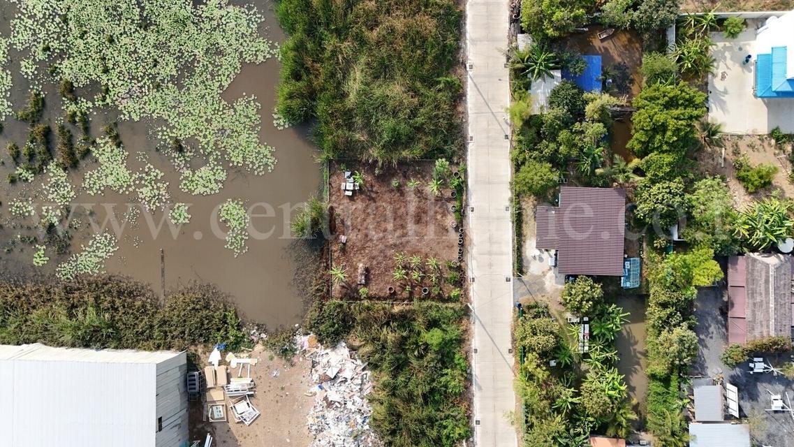 ที่ดินเปล่า 100 ตร.ว. ซอยบงกช 71 คลอง 2  คลองหลวง - ปทุมธานี 4