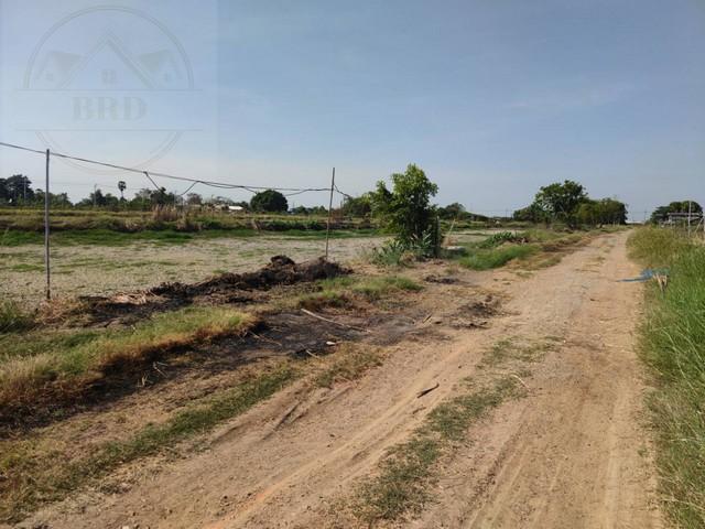 ขายที่ดินทำเลสร้างโกดัง โซนนิคมเอเชียสุวรรณภูมิ – บางบ่อ สมุทรปราการ เนื้อที่ 2 ไร่ ขายไร่ละ 2.5 ล้าน อ.บางบ่อ สมุทรปราการ 9