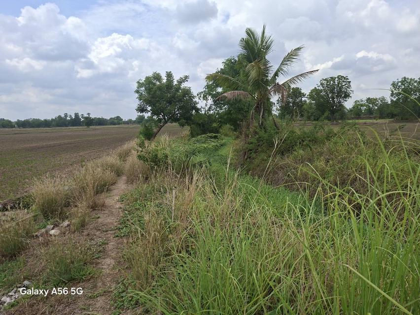 ขายที่ดิน 31 ไร่ 322 ตร.วา ติดถนนใหญ่ หนองขาหย่าง อุทัยธานี ผังเมืองสีชมพู 5