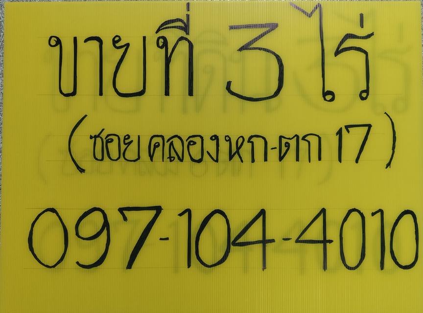 ขายที่ดินคลอง 6 ซอยคลอง 6 ตะวันตก 17 อยู่ใกล้มหาวิทยาลัยเทคโนโลยีราชมงคลธัญบุรี ศูนย์รังสิต 1