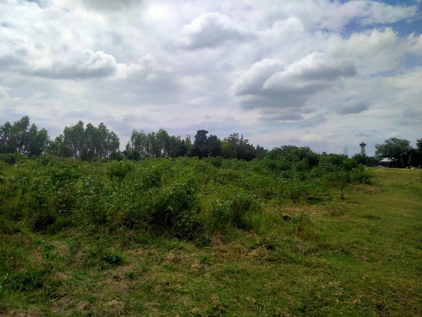 ขายที่ดินทำเลทอง เมืองบุรีรัมย์ ใกล้ห้างดัง ติดถนนใหญ่สายหลัก 10 ไร่ 1งาน 98 ตารางวา ที่ถมแล้ว 9