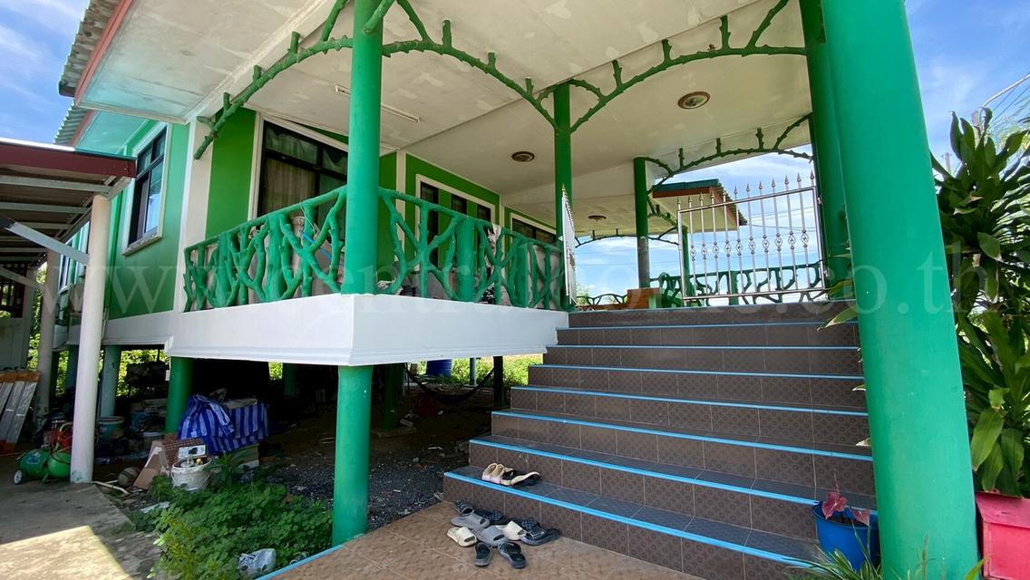 บ้านเดี่ยว คลองระพีพัฒน์ แยกตก หนองแค สระบุรี 5