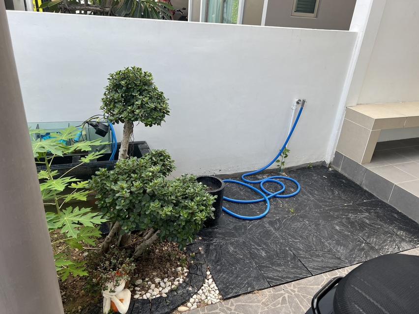 Spacious Semi-Detached House for Sale (169 sq.m.) Near Regent’s International School – Rong Po / Takhian Tia 3