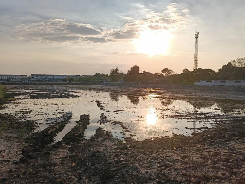 ขายที่ดิน 2 แปลง บางบัวทอง ติดหมู่บ้านเมืองทองธานี 6