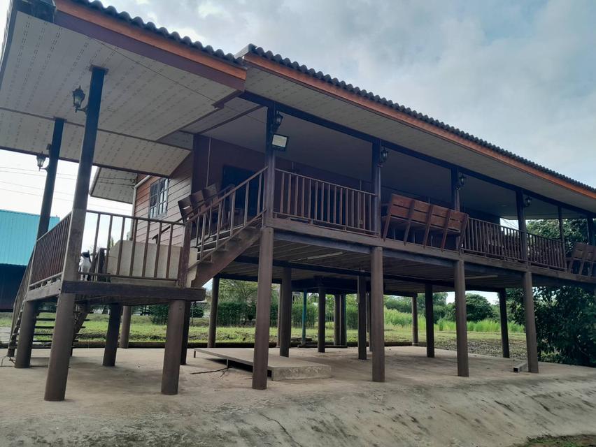 ที่ดิน 14 ไร่ ติดแม่น้ำกบินทร์ฯ พร้อมรีสอร์ท คาเฟ่ ร้านอาหาร 7