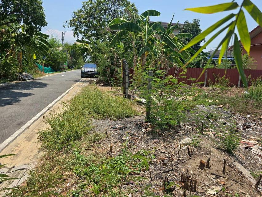 ขายด่วนที่ดินใกล้วัดเต็มรักสามัคคี 52 ตรว ติดถนนลาดยางสาธารณะ บางคูรัต บางบัวทอง นนทบุรี 10