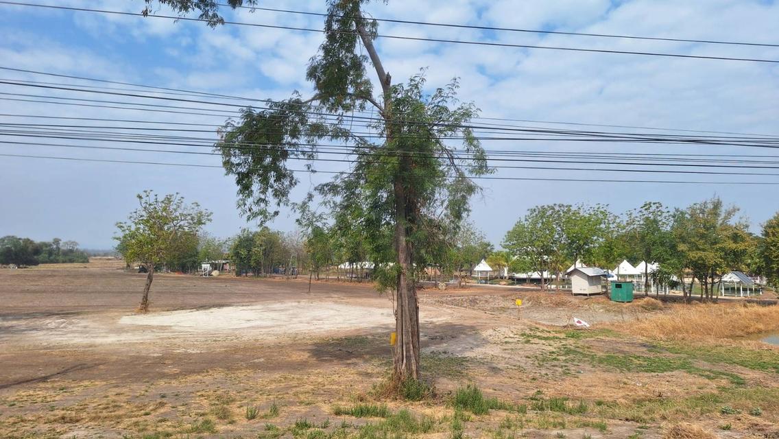ที่ดิน 30 ไร่ ติดถนนสาย 21 ถมแล้ว อ.พัฒนานิคม จ.ลพบุรี 3