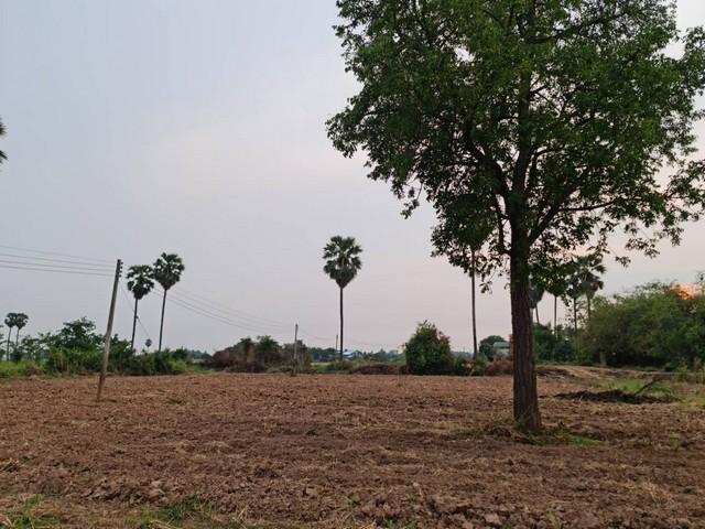 วิวน้ำดีงามสวยสมบูรณ์ดินดี เช่า หรือขาย ที่ดินติดแม่น้ำน่าน ที่สวยติดแม่น้ำน่าน ชุมแสง จ.นครสวรรค์ 2