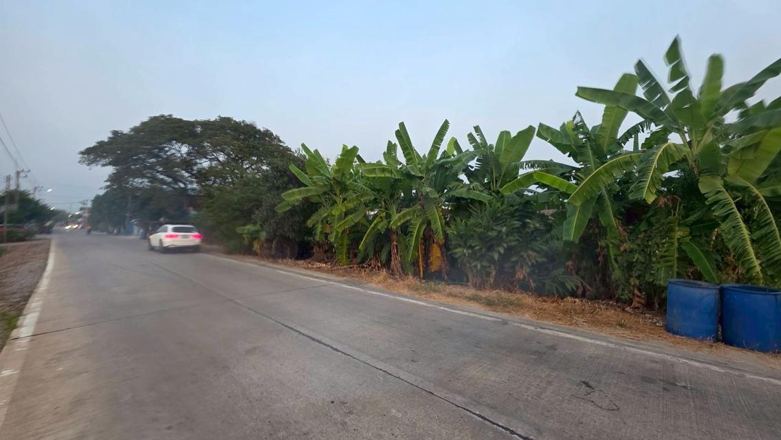 4/4 ม.6 ถ.โรงเรียนบ้านคลองเจ้าเมือง ต.คลองพระอุดม อ.ลาดหลุมแก้ว จ.ปทุมธานี 2