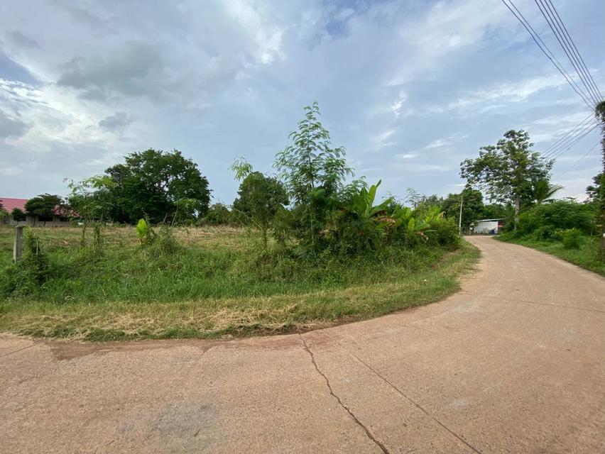 ขายที่ดินหนองโพรง 1 ไร่ ถมแล้วติดถนน2ด้าน ใกล้แยกโคกขวาง-1.2กม. อ.ศรีมหาโพธิ ปราจีนบุรี