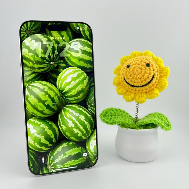 iPhone 16 Pro Max 512 GB | PE150
