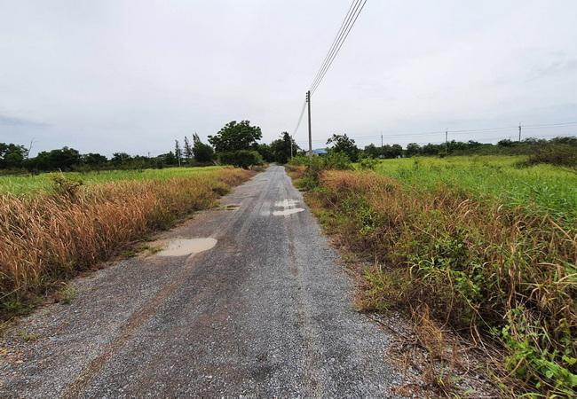 ขายที่ดิน หนองเสือคลอง 10 ถนนรังสิต-นครนายก อำเภอหนองเสือ ปทุมธานี 3