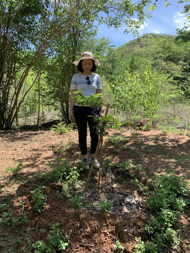 ที่ดิน พื้นที่ สองไร่ ในโครงการแก่งกระจาน คันทรี่คลับ ซื้อที่ดินแถมบ้านถนนปูนถึง น้ำน้ำไฟพร้อม 16