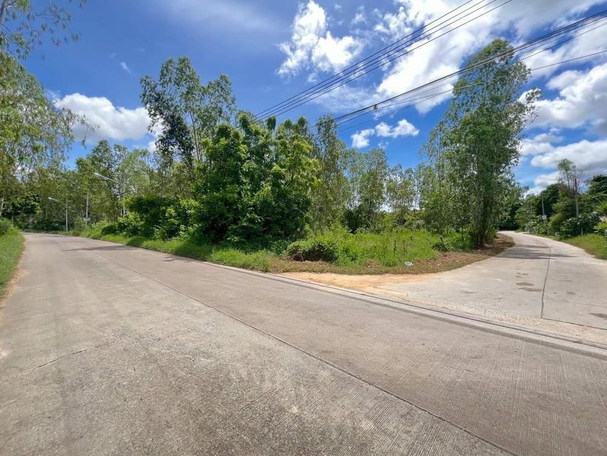 💥ขายที่ดินห้วยใหญ่ พัทยา เหมาะสำหรับลงทุน💥 6