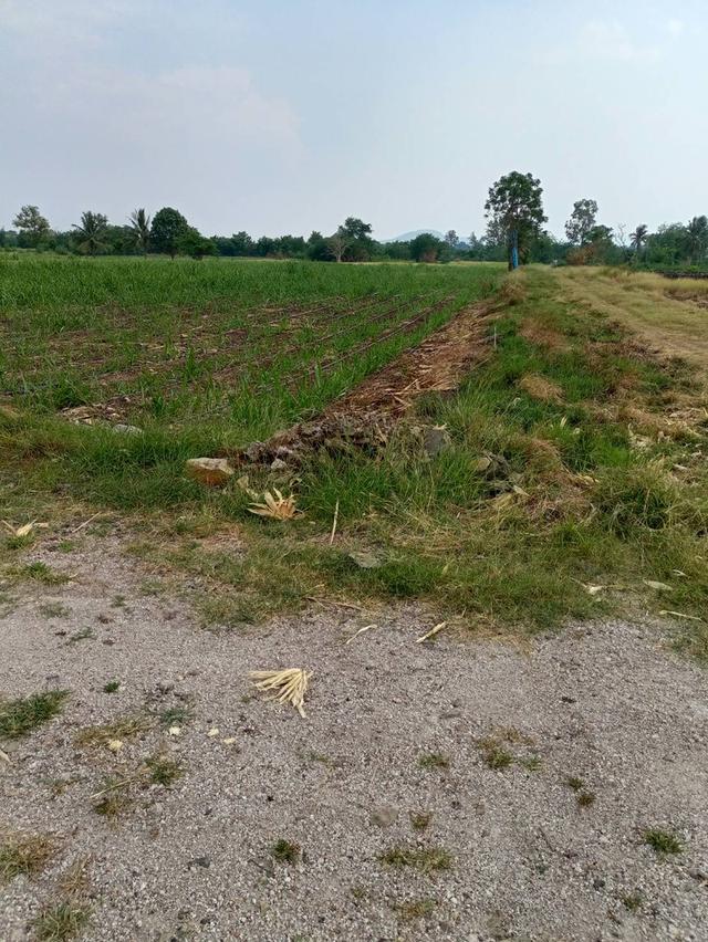 ที่ดินเปล่าแปลงเล็กราคาถูก 2