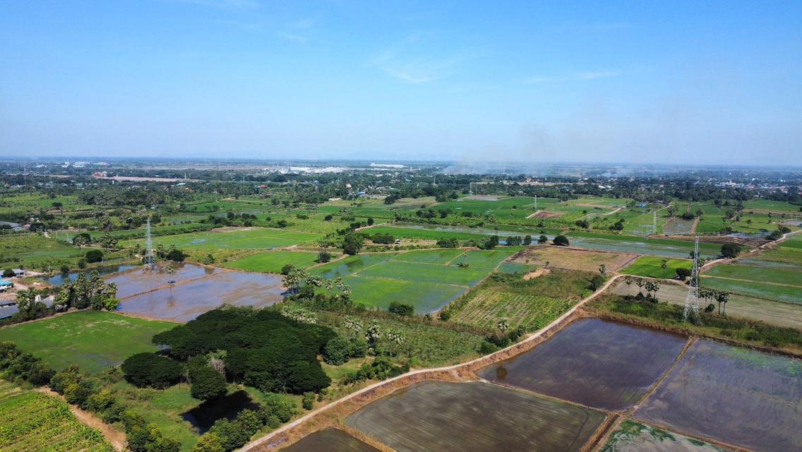 ที่ดินสวนไผ่ราคาไร่ละ200,000บาทติดถนน 4