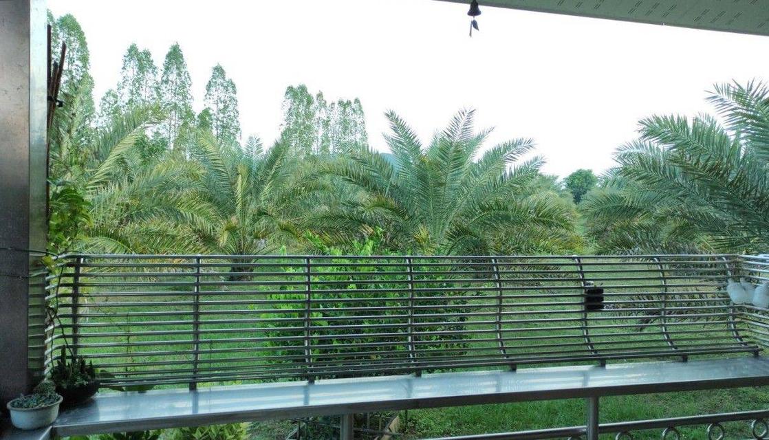 ขายที่ดิน อ.บ้านโป่ง  จ. ราชบุรี 6 ไร่ พร้อมบ้าน 3 หลัง 7