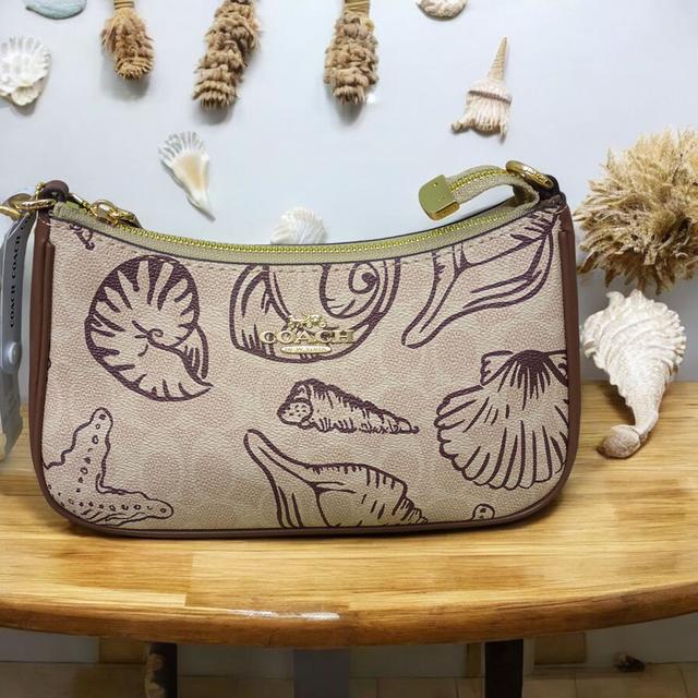 กระเป๋า Coach Shell