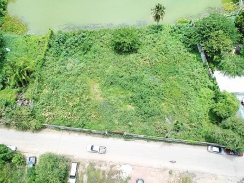 ขายที่ดิน ริมทะเลสาบ 621 ตรว. ซอยหมอศรี สามพราน เหมาะทำบ้านเดี่ยว 5