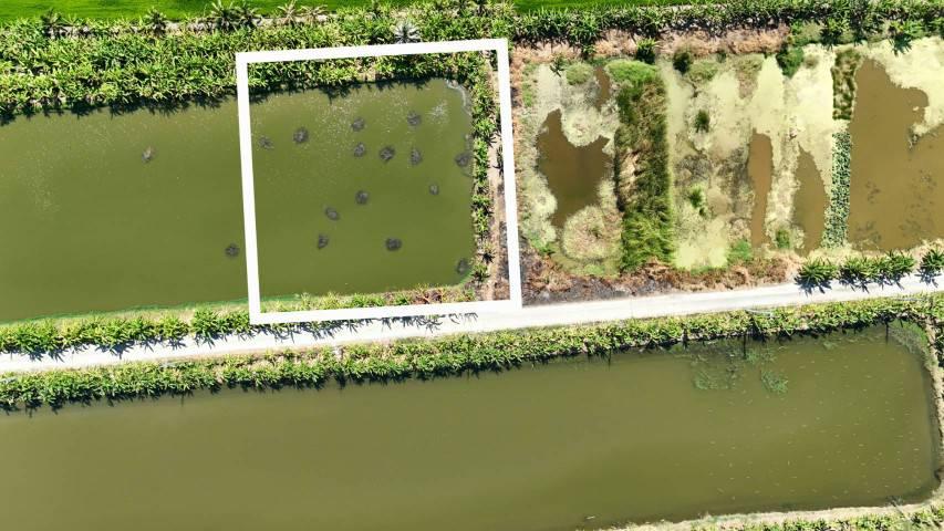 ขายที่ดิน 1 ไร่ ซอยวัดบัวโรย สมุทรปราการ 2