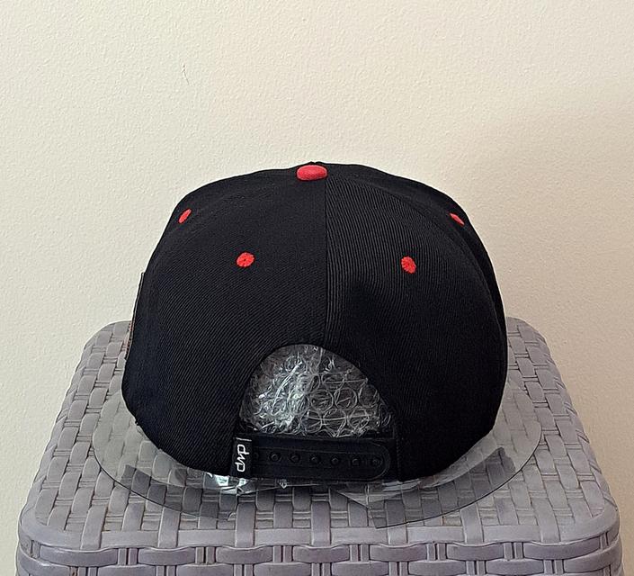 หมวกแก๊ป DWP (Hip Hop Cap) ขนาด Size ฟรีไซส์ รูปที่ 5