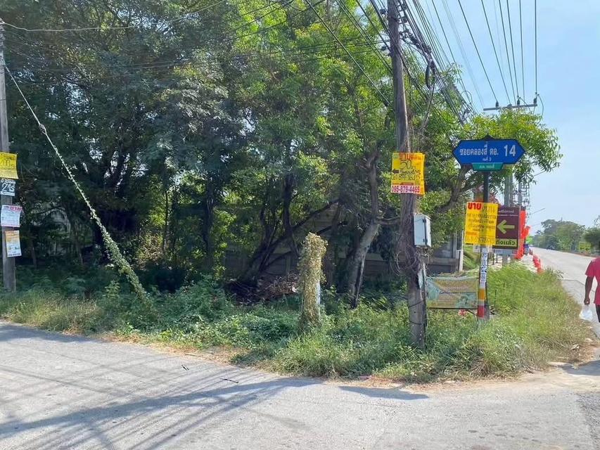 ขายด่วนที่ดินใกล้มอเตอร์เวย์ 50 ตารางวา ติดถนนคอนกรีตสาธารณะ ชอย คลองสี่ตะวันออก 14 อ.คลองหลวง จ.ปทุมธานี 8