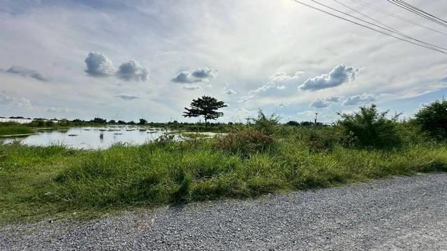 ขายที่ดินเปล่า เนื้อที่ 23-1-96 ไร่ ถนนสารีบุตร แขวงทับยาว เขตลาดกระบัง กทม. 5