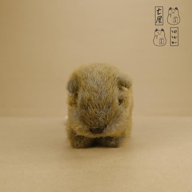 ตุ๊กตา สัตว์ออสเตรเลีย・วอมแบต・ขนเก่า 🐨 Wombat ・Mascot 12 cm 〰 Uni-Toys・Australian Wildlife Series ・Vintage Old-Fur・Soft Toy ❄️✨ รูปย่อยที่ 2