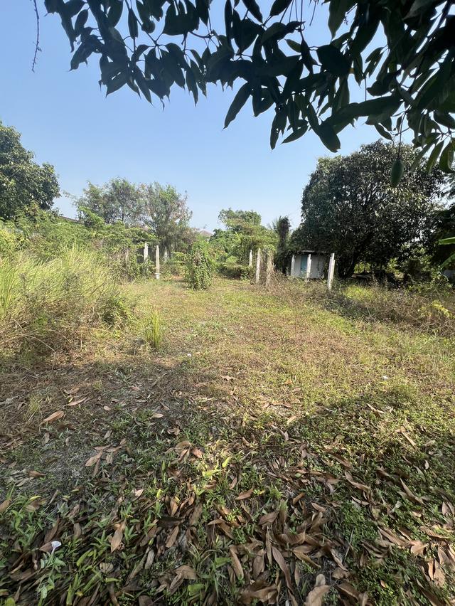 ขายที่ดิน ซ.กันตนา เนื้อที่ 152 ตรว. 1